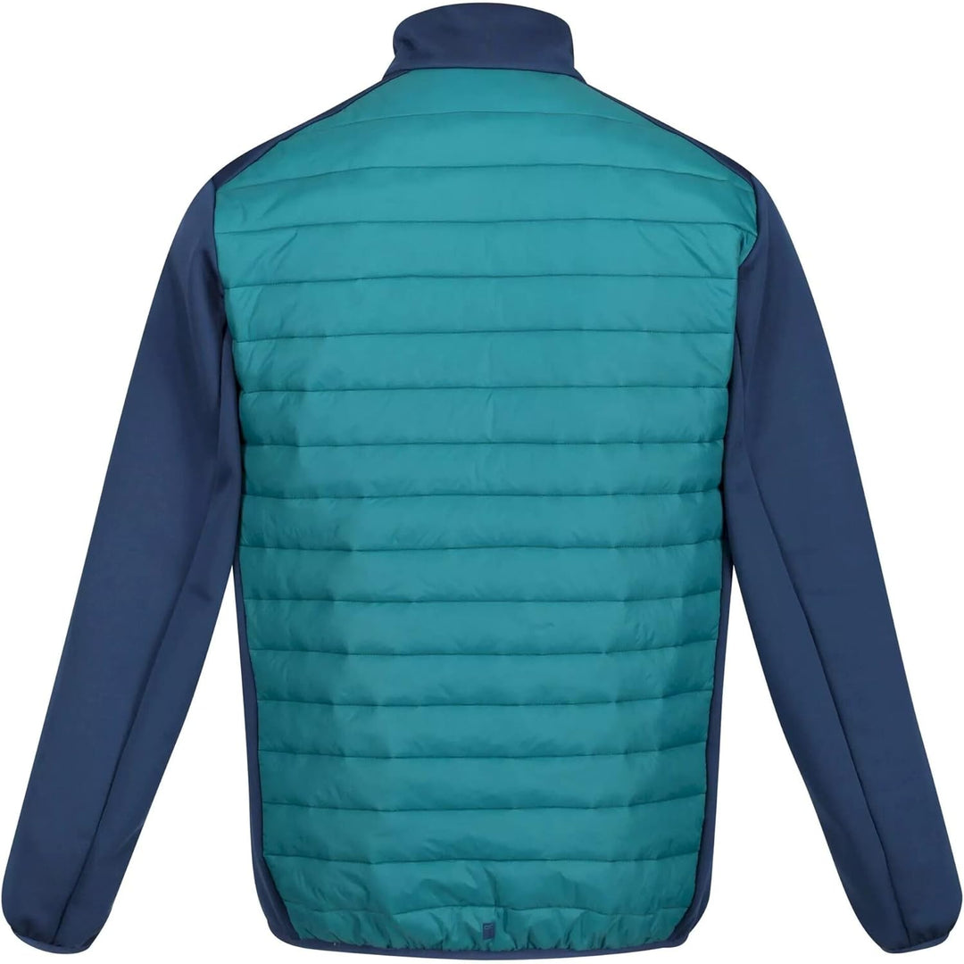 Regatta Hybrid Softshelljacke Herren Clumber III, Grösse:XL, Farbe:Grün