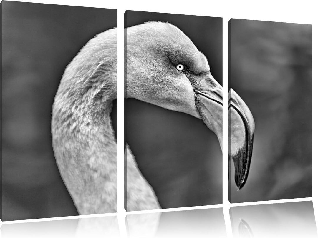 Pixxprint Flamingo im Seitenprofil als Leinwandbild/Grösse: 3 Teilig (120x80) cm/Wandbild/Kunstdruck