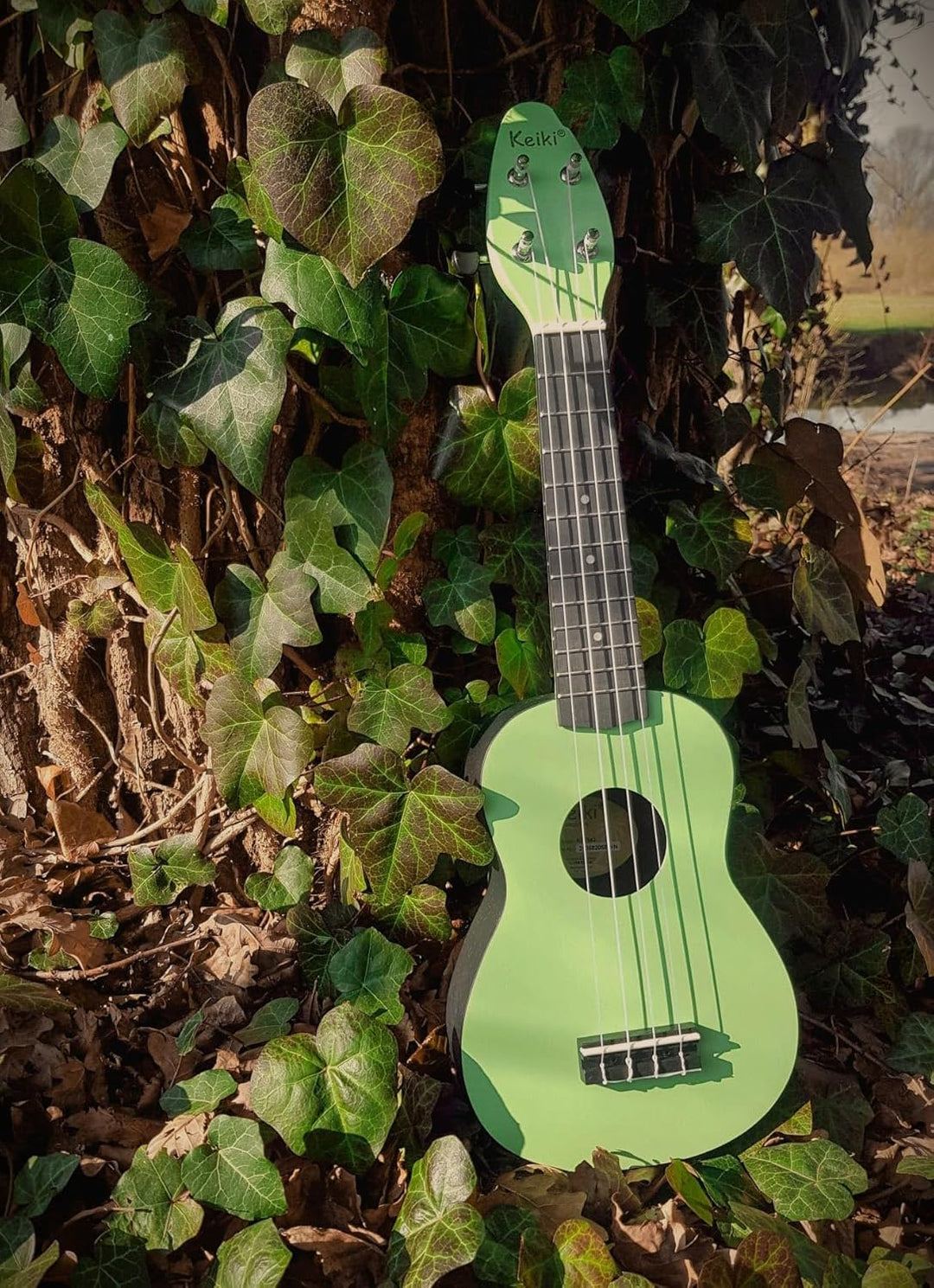 Ortega Guitars Sopran Ukulele grün - Keiki K2 - Starterkit inklusive Tuner, Gurt, 5 Medium Plektren