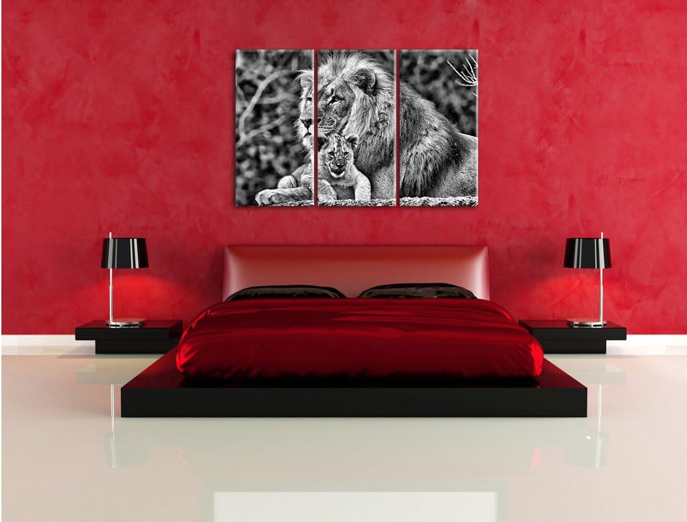 Pixxprint Lieber Löwe mit Jungtier als Leinwandbild/Grösse: 3 Teilig (120x80) cm/Wandbild/Kunstdruck