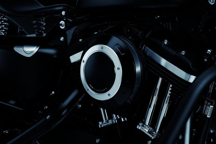 Puig Filterabdeckung 9993N für Harley Davidson Sportster 883 Iron 16'-18', Schwarz