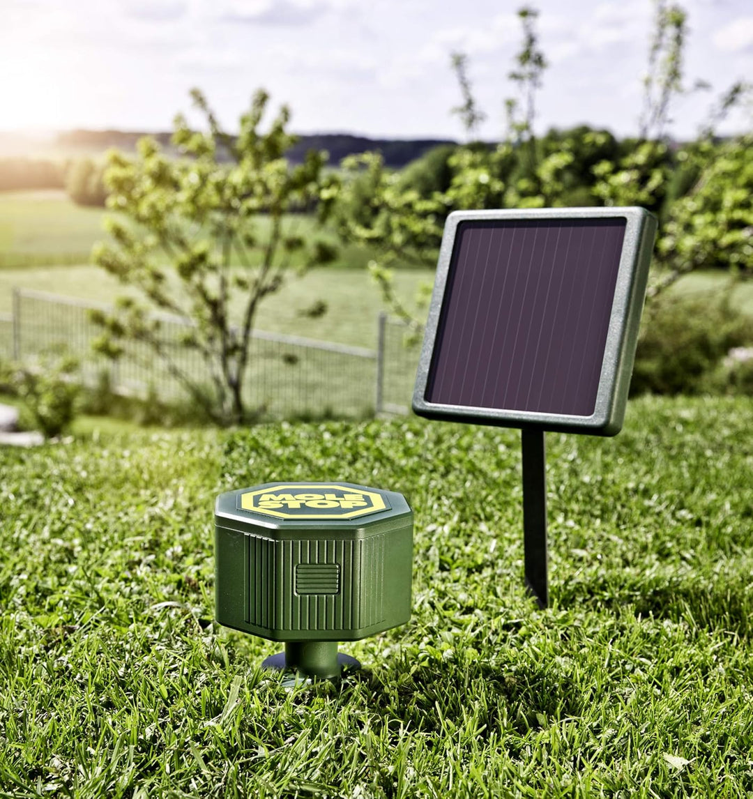 Windhager Solar Accu 6V/600 mAh für Wühlmausvertreiber Mole Stop Solar, Akku für Wühlmausabwehr, Zub