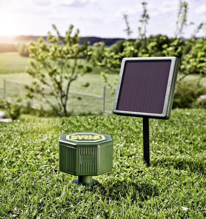 Windhager Solar Accu 6V/600 mAh für Wühlmausvertreiber Mole Stop Solar, Akku für Wühlmausabwehr, Zub