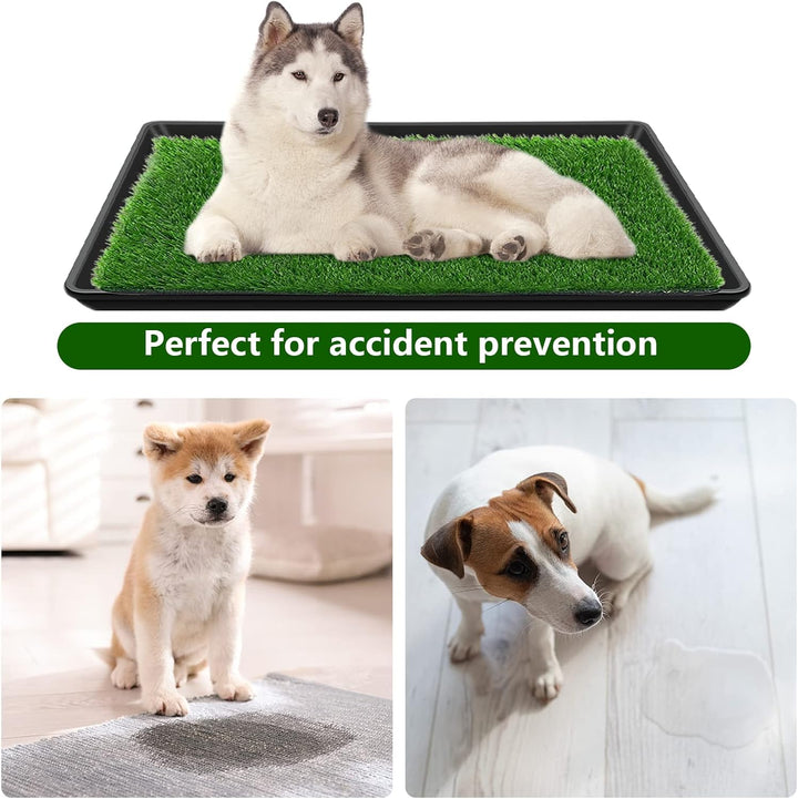 Hunde Gras Pad mit Tablett, Hund Töpfchen Gras für Welpen Training, Wiederverwendbare Trainingsunter