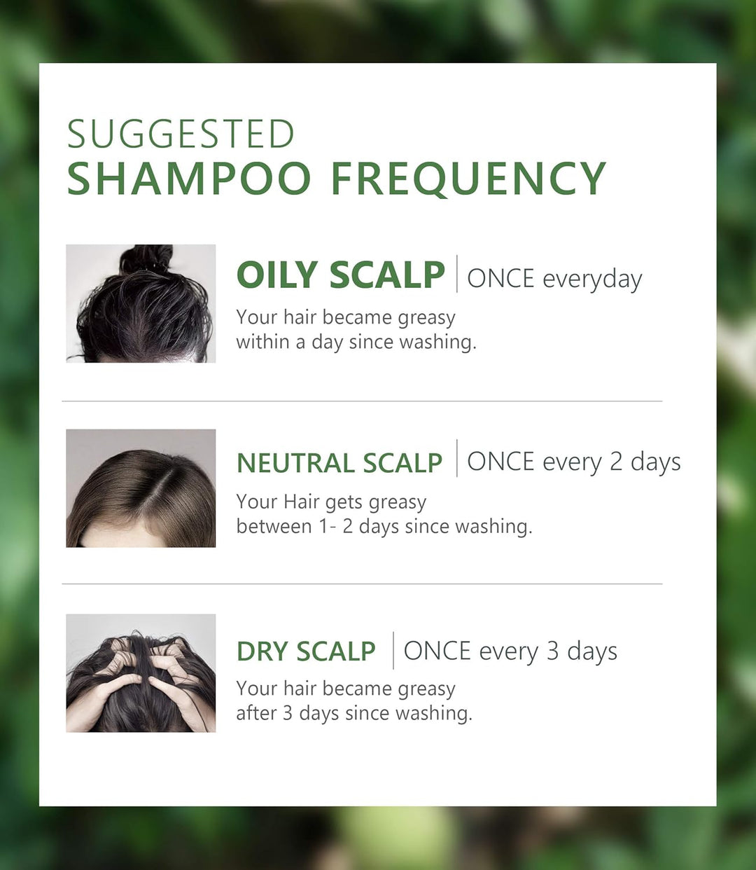 AROMASE Anti-Oil Essential Shampoo - Effektiv bei schnell fettendem Haar & fettiger Kopfhaut, reguli