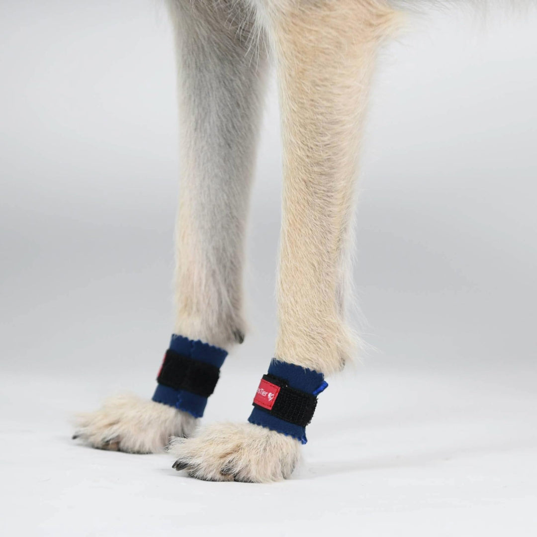 Krallenschutzbandage Gr. XL50 für Hunde, Schutz für Wolfs- und Daumenkralle, doppelseitiges Fleece,