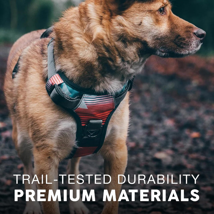 Embark Urban Hundegeschirr, einfach an- und abzulegen, mit Leinenbefestigungen vorn und am Rücken, m