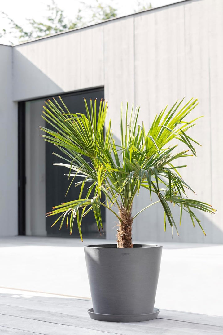 ECOPOTS Blumentopf Amsterdam Hell Grau - Durchmesser Ø 60 cm rund gross - Pflanzentopf aus Recycling