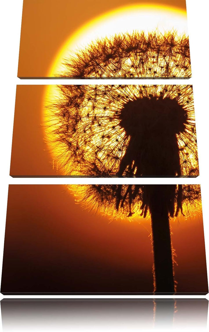 Pixxprint Pusteblume abends als Leinwandbild/Grösse: 3 Teilig (120x80) cm/Wandbild/Kunstdruck/fertig