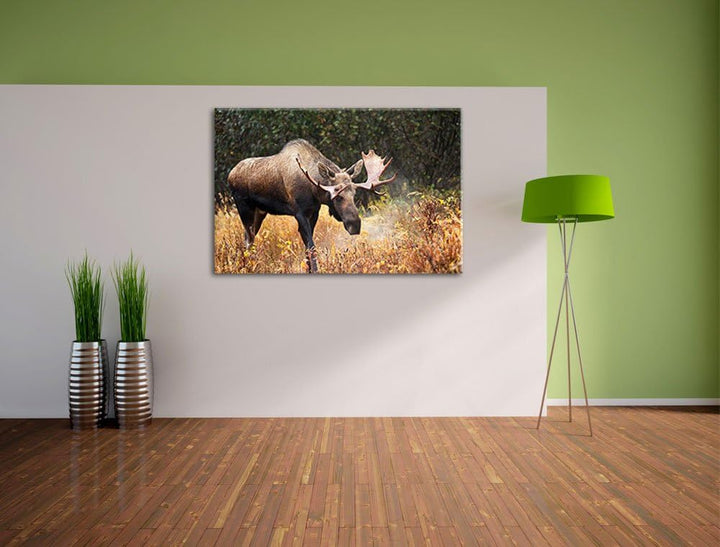 Pixxprint Grosser Elch Format: 100x70 auf Leinwand, XXL riesige Bilder fertig gerahmt mit Keilrahmen