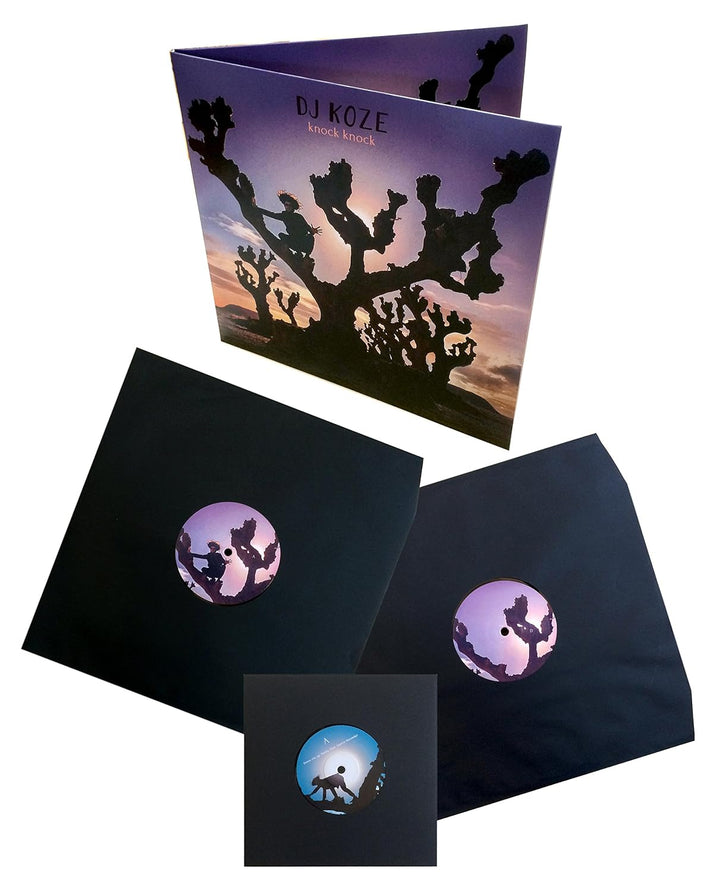 Knock Knock [Vinyl LP], Vinyl