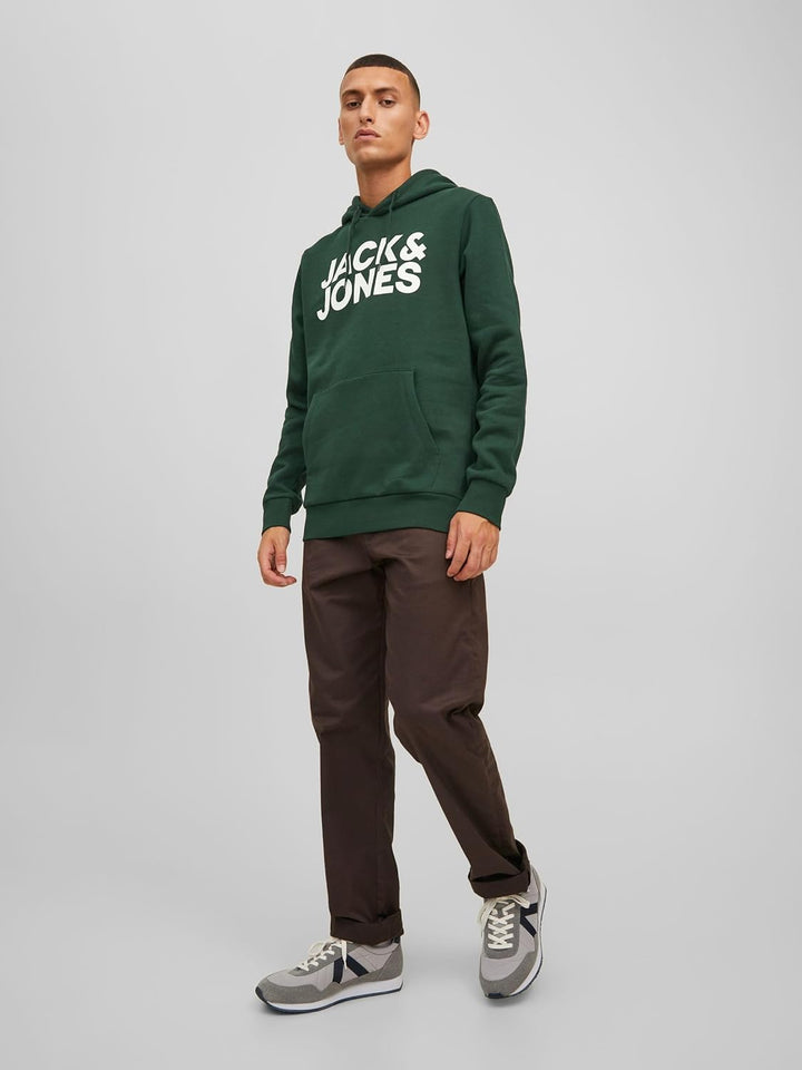 JACK & JONES Male Kapuzenpullover Logo Kapuzenpullover 3XL Island Green/Print White, 3XL Island Gree