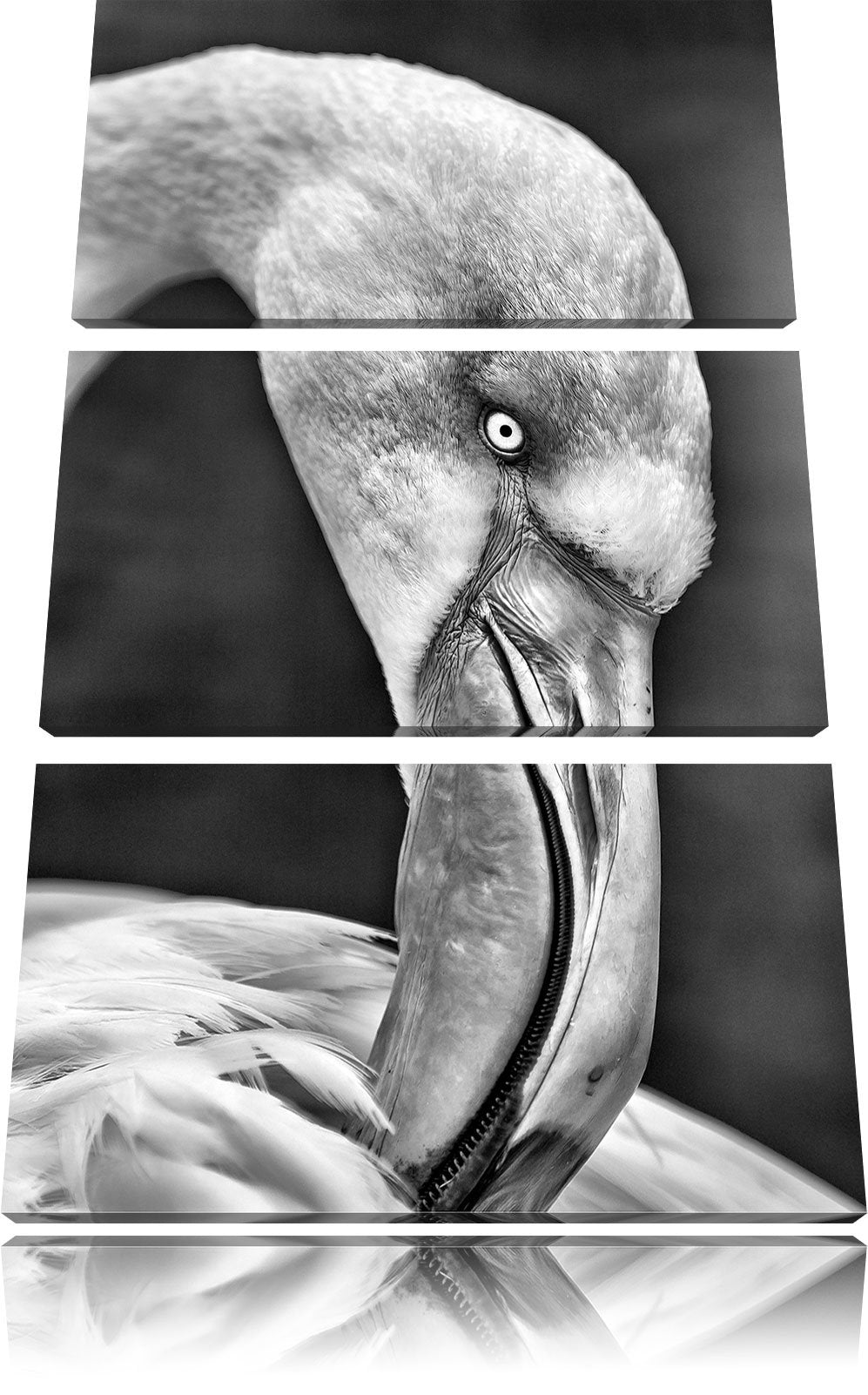 Pixxprint Flamingo beim Putzen als Leinwandbild/Grösse: 3 Teilig (120x80) cm/Wandbild/Kunstdruck/fer