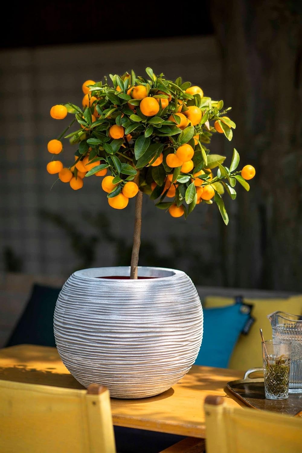Capi Europe - Gefäss Kugel Rib NL - 40x32 - Elfenbein - Öffnung Ø24 - Blumentopf für den Innen- und