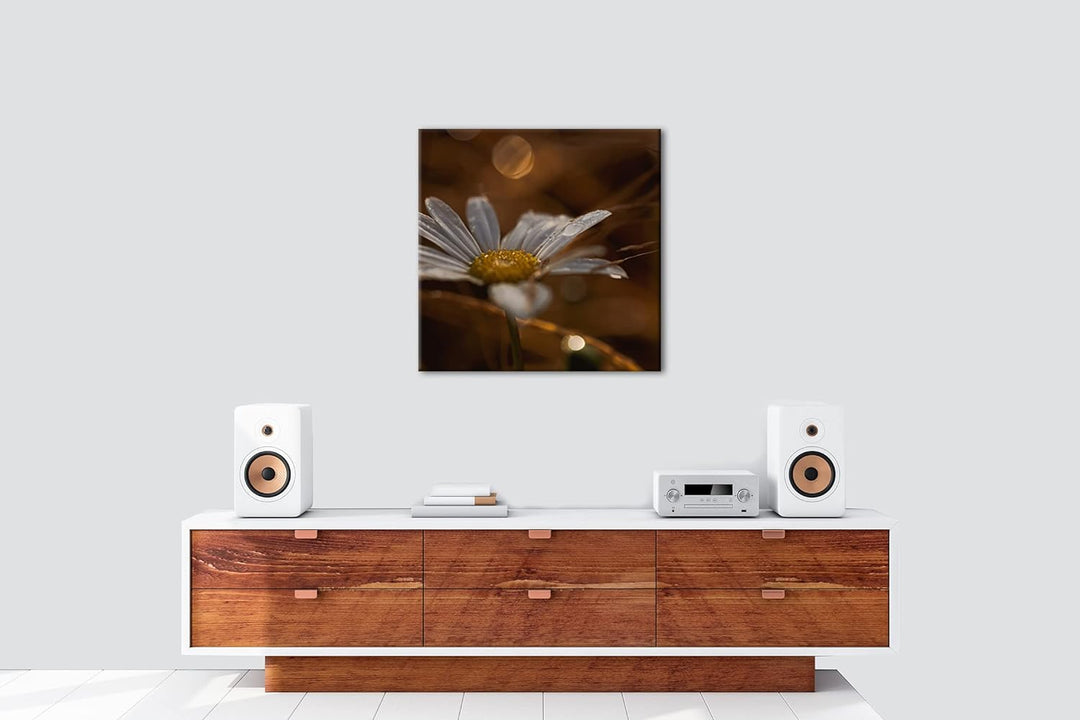 Margerite im Morgentau Format: 70x70 als Leinwandbild, Motiv fertig gerahmt auf Echtholzrahmen, Hoch