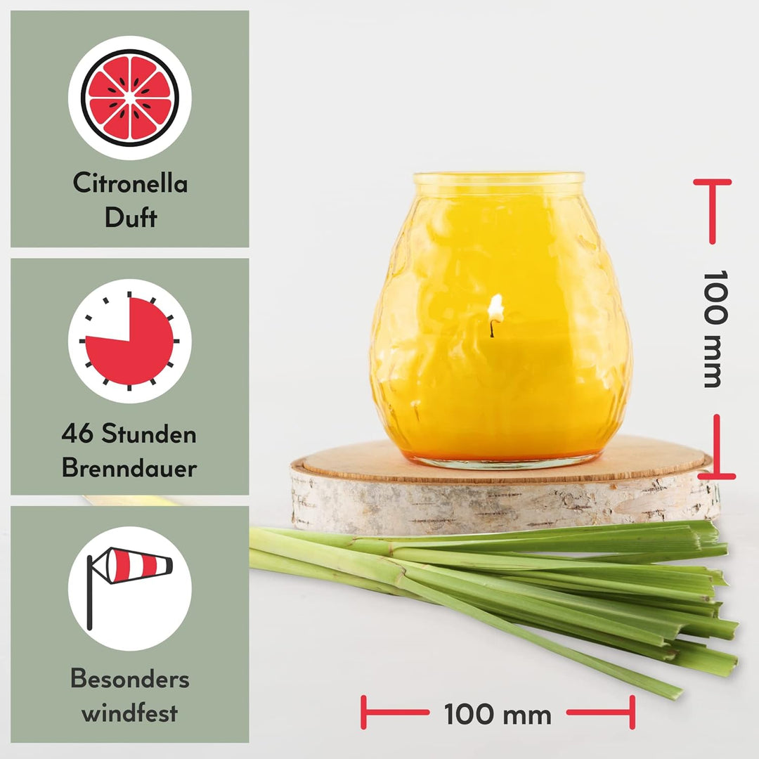 HOFER 6 x Bistro-Licht Citronella gelb | Windlicht Outdoor | Hochwertige Kerze im Glas mit Citronell