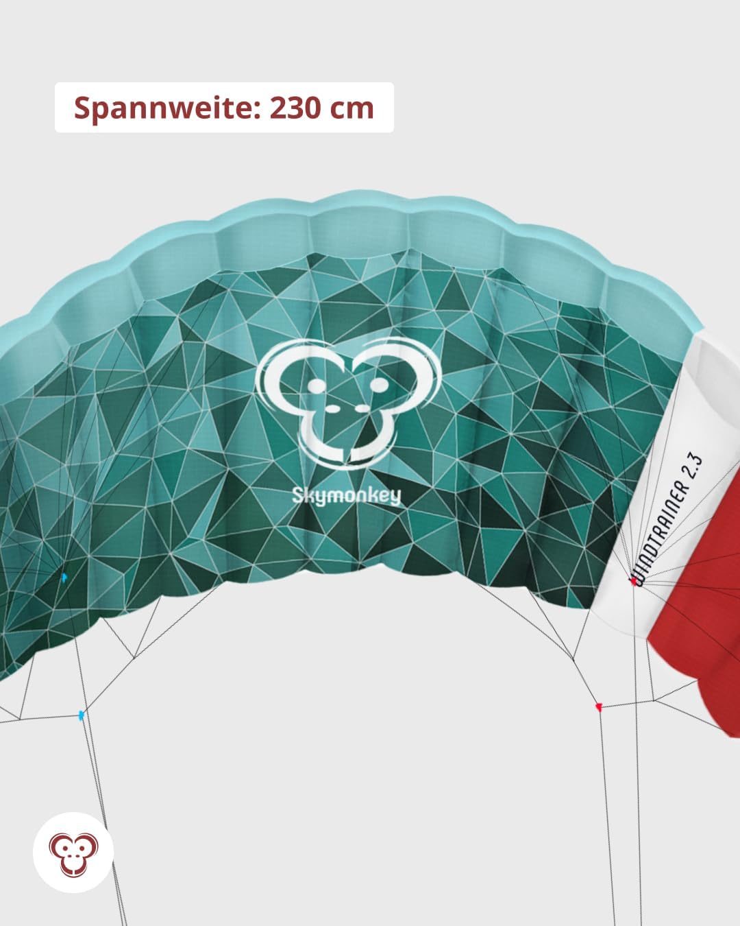 Skymonkey Windtrainer, Trainer-Kite / 4-Leiner Lenkmatte inkl. Trainerbar, Ready 2 Fly, mit 230 cm o