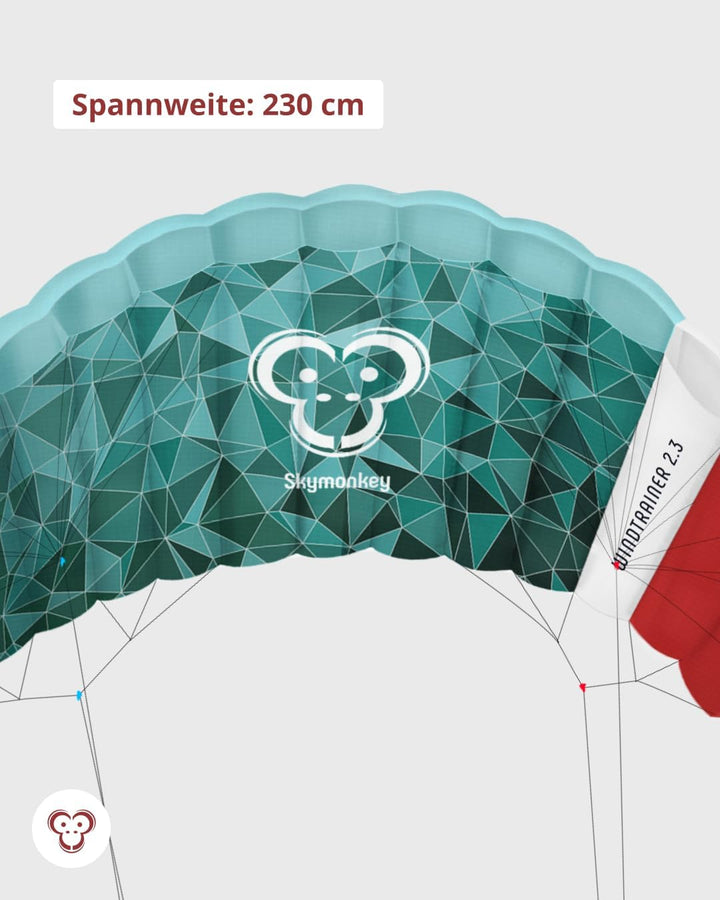 Skymonkey Windtrainer, Trainer-Kite / 4-Leiner Lenkmatte inkl. Trainerbar, Ready 2 Fly, mit 230 cm o