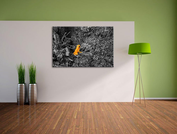 giftiger kleiner Frosch schwarz/weiss auf Leinwand, XXL riesige Bilder fertig gerahmt mit Keilrahmen