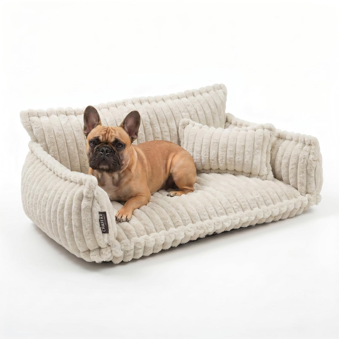 Hundesofa Chaffar Hundebett | Orthopädische Matratze | Moderner Stil | Cord-Design Grössen (Creme, L