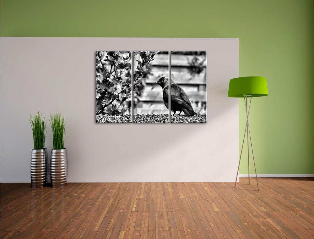 Pixxprint Vogel auf Gartenwiese als Leinwandbild/Grösse: 3 Teilig (120x80) cm/Wandbild/Kunstdruck/fe