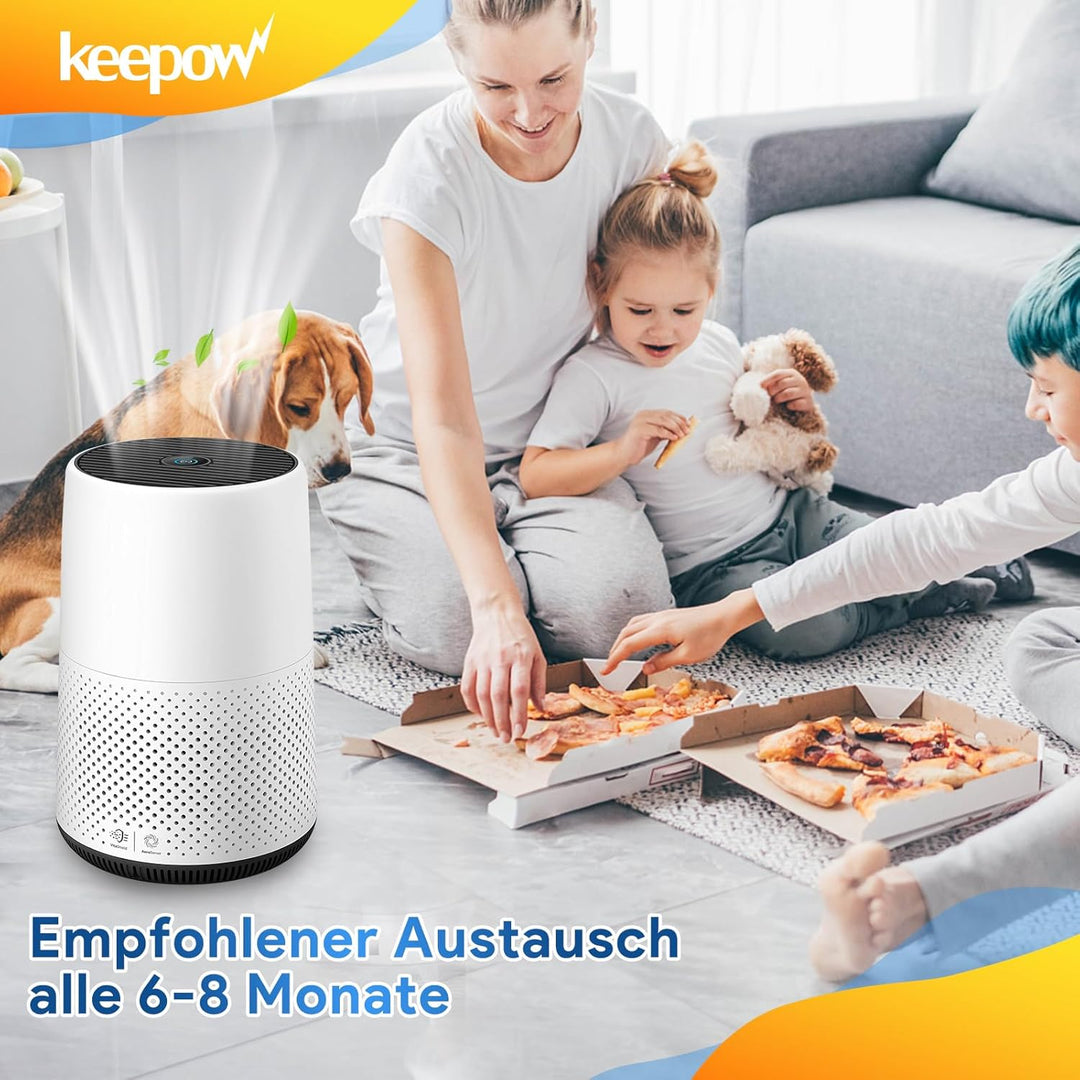 KEEPOW FY0293/30 FY0194/30 Ersatzfilter für Philips Luftreiniger 800 Series Hepa Filter, Luftfilter