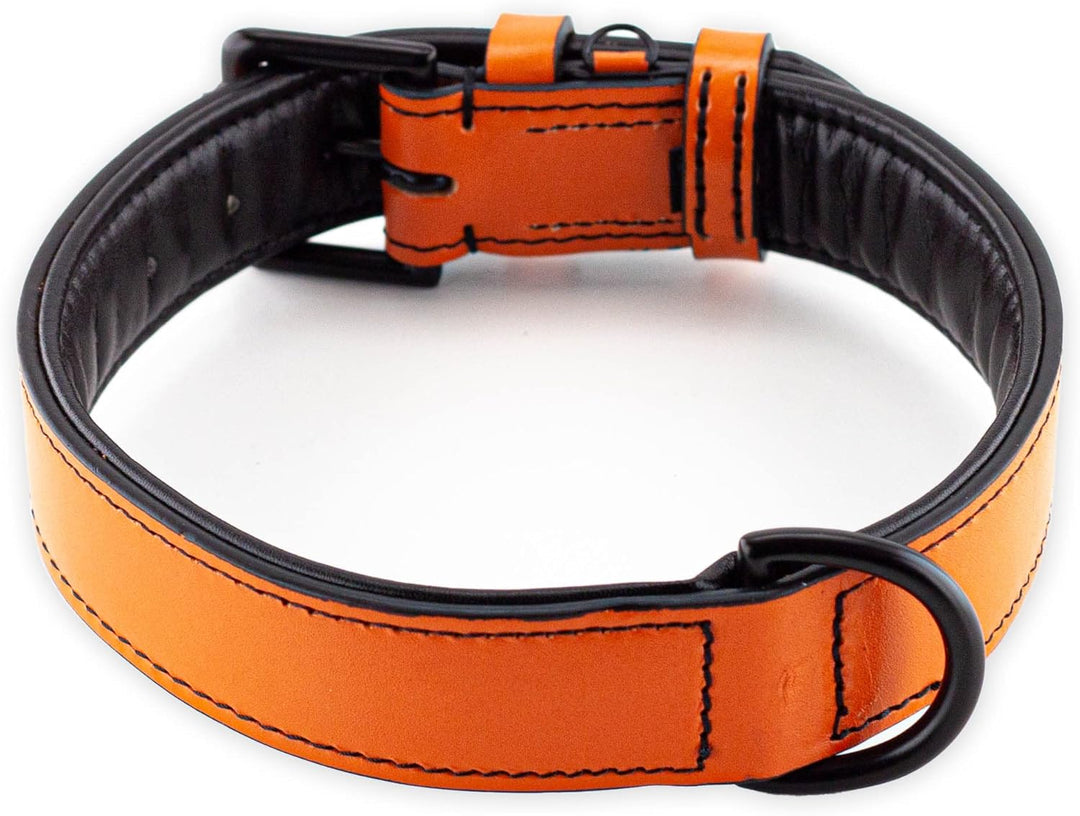 Brute Strength Hundehalsband aus Leder - Orange - XL - 56-63 cm XL - 56-63 cm Orange, XL - 56-63 cm