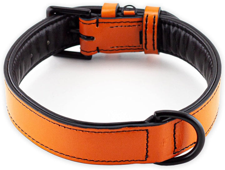 Brute Strength Hundehalsband aus Leder - Orange - XL - 56-63 cm XL - 56-63 cm Orange, XL - 56-63 cm