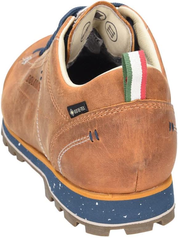 Dolomite Unisex Schuh Cinquantaquattro Low Fg Evo GTX Bergschuhe 37 EU Sonstige, 37 EU Sonstige