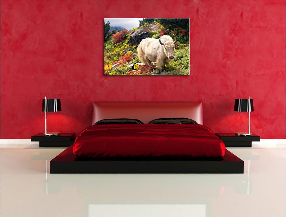 Schönes Yak Himalaya, Format: 100x70 auf Leinwand, XXL riesige Bilder fertig gerahmt mit Keilrahmen,