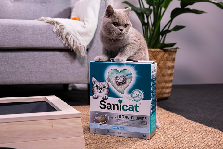 Sanicat – Ultra-klumpende Katzenstreu mit Talkpuderduft | Sofortige Bildung kompakter Klumpen | Geru