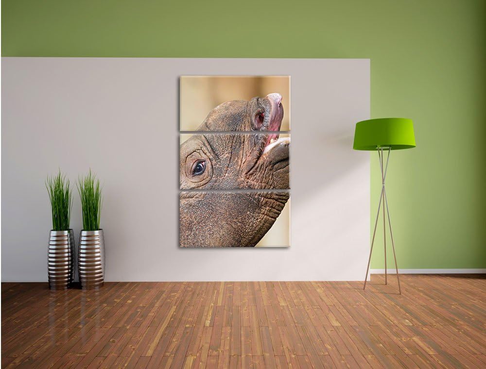 Nashorn 3-Teiler Leinwandbild 120x80 Bild auf Leinwand, XXL riesige Bilder fertig gerahmt mit Keilra