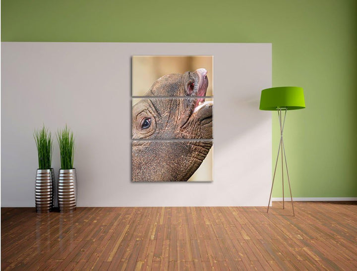 Nashorn 3-Teiler Leinwandbild 120x80 Bild auf Leinwand, XXL riesige Bilder fertig gerahmt mit Keilra