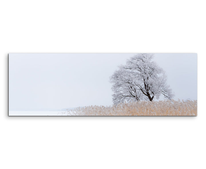 Sinus Art Wandbild 150x50cm Landschaftsfotografie – Einsamer Baum am See auf Leinwand für Wohnzimmer