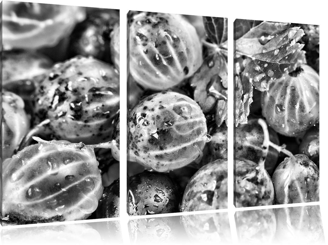 Pixxprint Leckere Stachelbeeren als Leinwandbild/Grösse: 3 Teilig (120x80) cm/Wandbild/Kunstdruck/fe