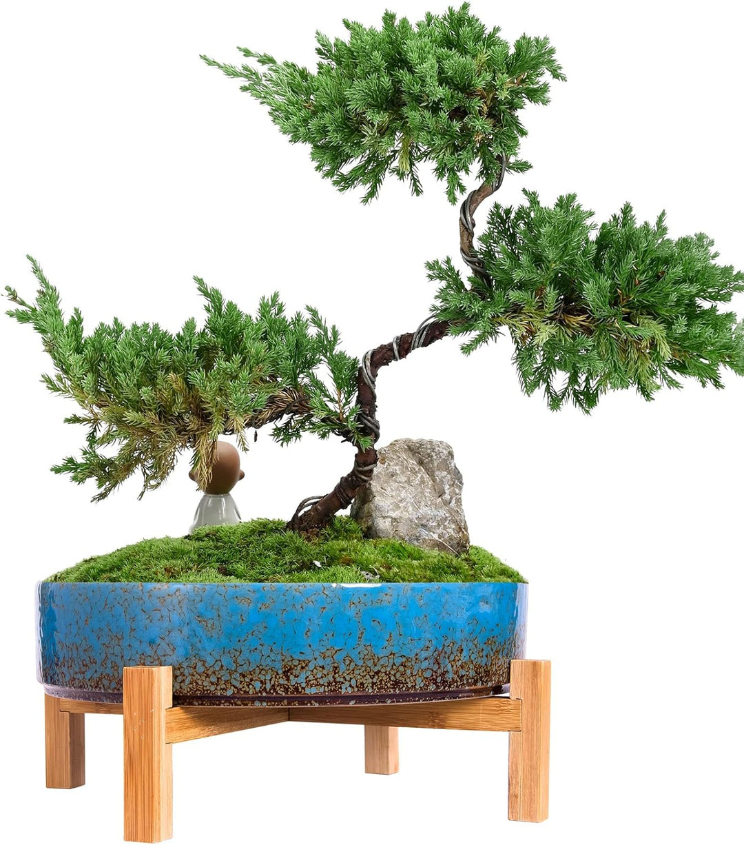 ARTKETTY SukkulentenTöpfe, 29,5 cm grosse SukkulentenPflanzgefässe Töpfe mit Drainage Keramik Bonsai