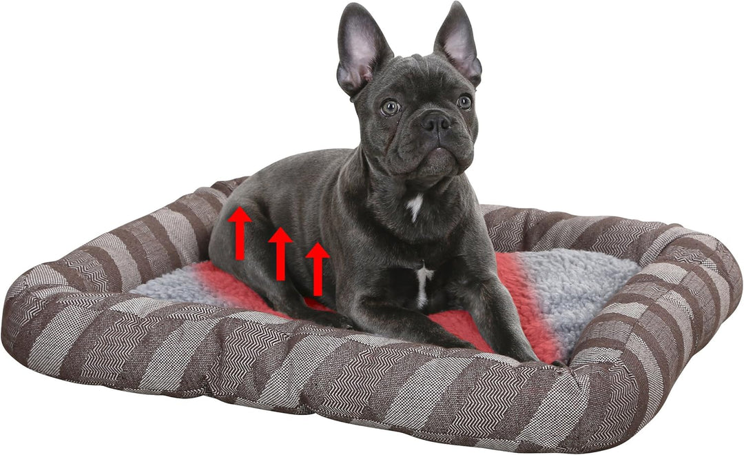 Kerbl 80364 Liegebett Pablo,selbstwärmend, 60 x 50 cm, grau Grau 60 x 50 cm, Grau 60 x 50 cm