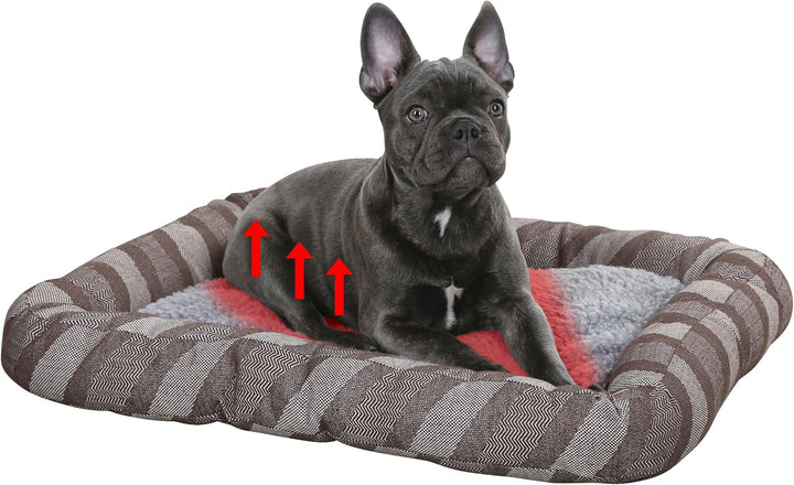 Kerbl 80364 Liegebett Pablo,selbstwärmend, 60 x 50 cm, grau Grau 60 x 50 cm, Grau 60 x 50 cm