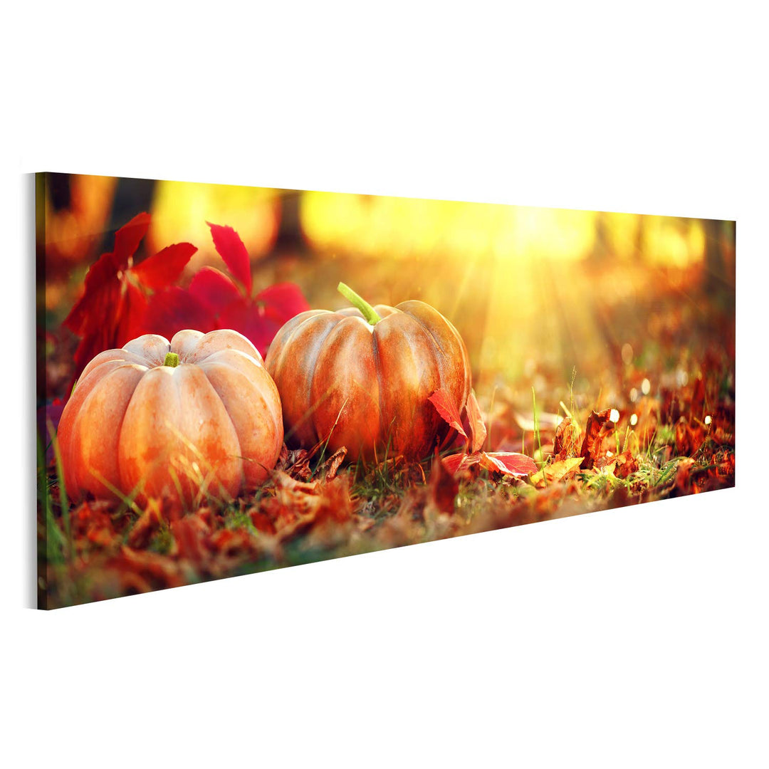 Bild Bilder auf Leinwand Herbst Halloween Kürbisse. Orange Kürbise über hellem herbstlichem Naturhin