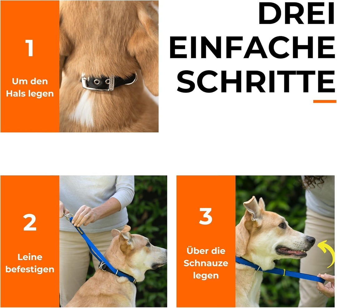 Canny Collar Halsband für Hunde, einfache und effektive Hilfe beim Hundetraining und verhindert das