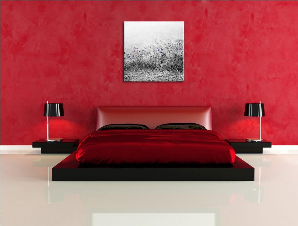 Pixxprint Distel Feld im Retro Look als Leinwandbild | Grösse: 70x70 cm | Wandbild| Kunstdruck | fer