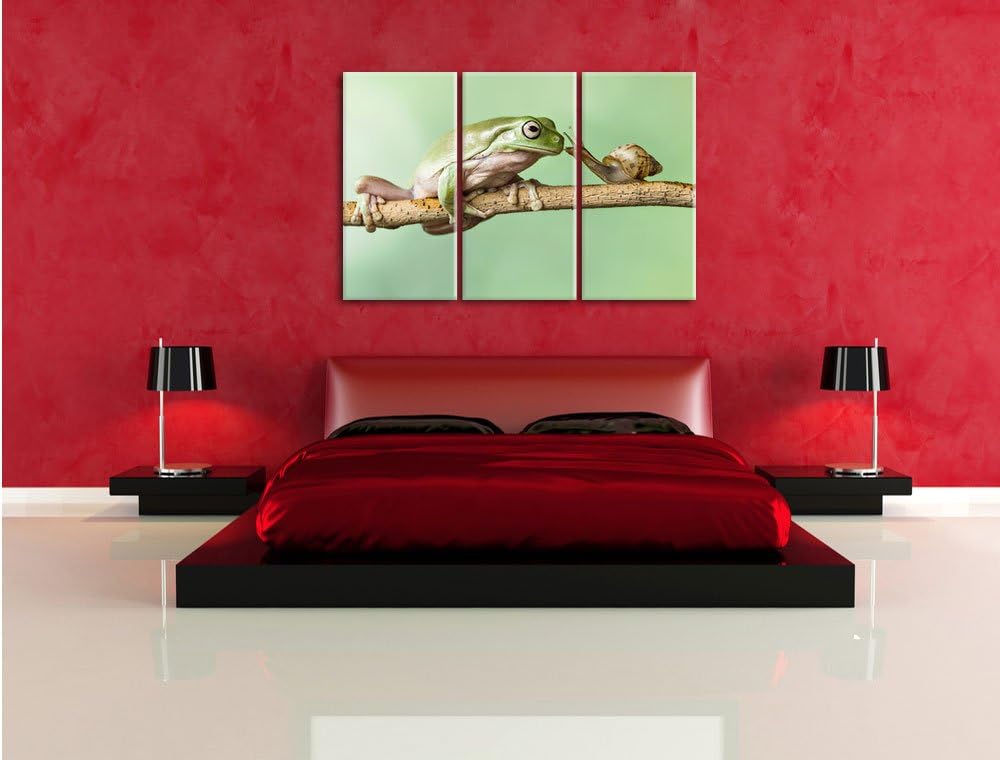Pixxprint der Frosch und die Schnecke als Leinwandbild/Grösse: 3Teilig / Wandbild/Kunstdruck/fertig