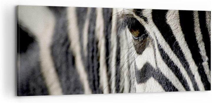 Wandbilder Dekoration Wohnzimmer Zebra Streifen Tierwelt Safari Panorama Bilder auf Leinwand 120x50c