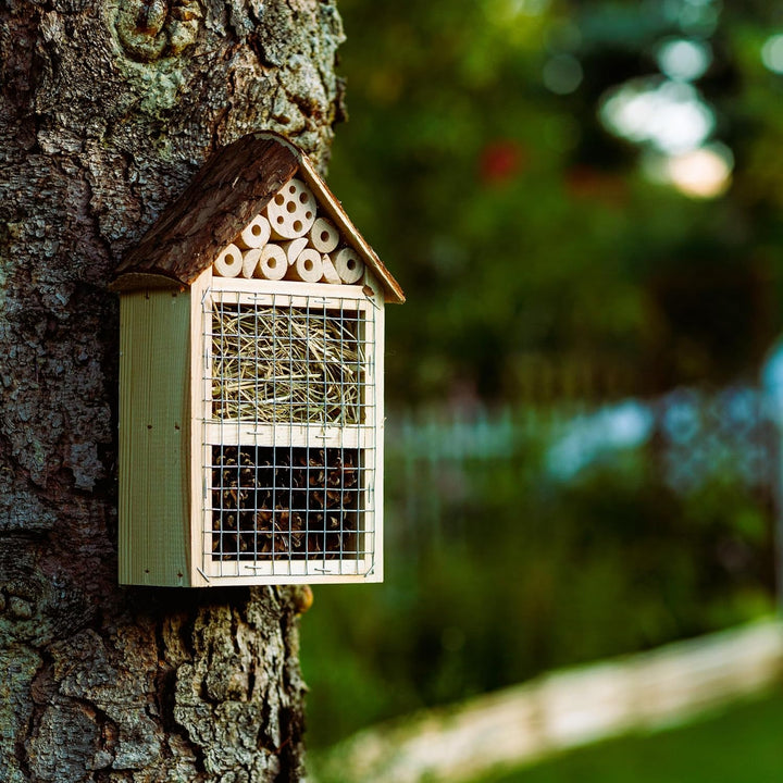 BOGATECO Bienenhotel Insektenhotel - unbehandelt, Bienenhaus aus Massiv-Holz für Bienen, Marienkäfer