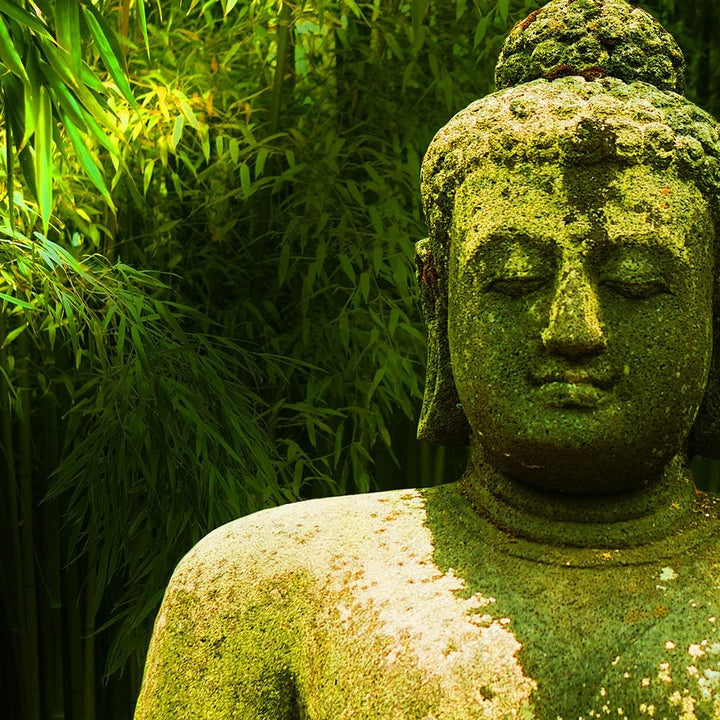 Feeby Wandbild XXL 5 Teilig Buddha Leinwandbild Statue Natur Blätter grün 300x140 cm Leinwandbild 30