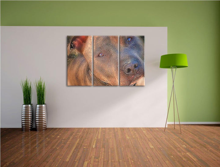 schöner Pit Bull Terrier NewArt 3-Teiler Leinwandbild 120x80 Bild auf Leinwand, XXL riesige Bilder f