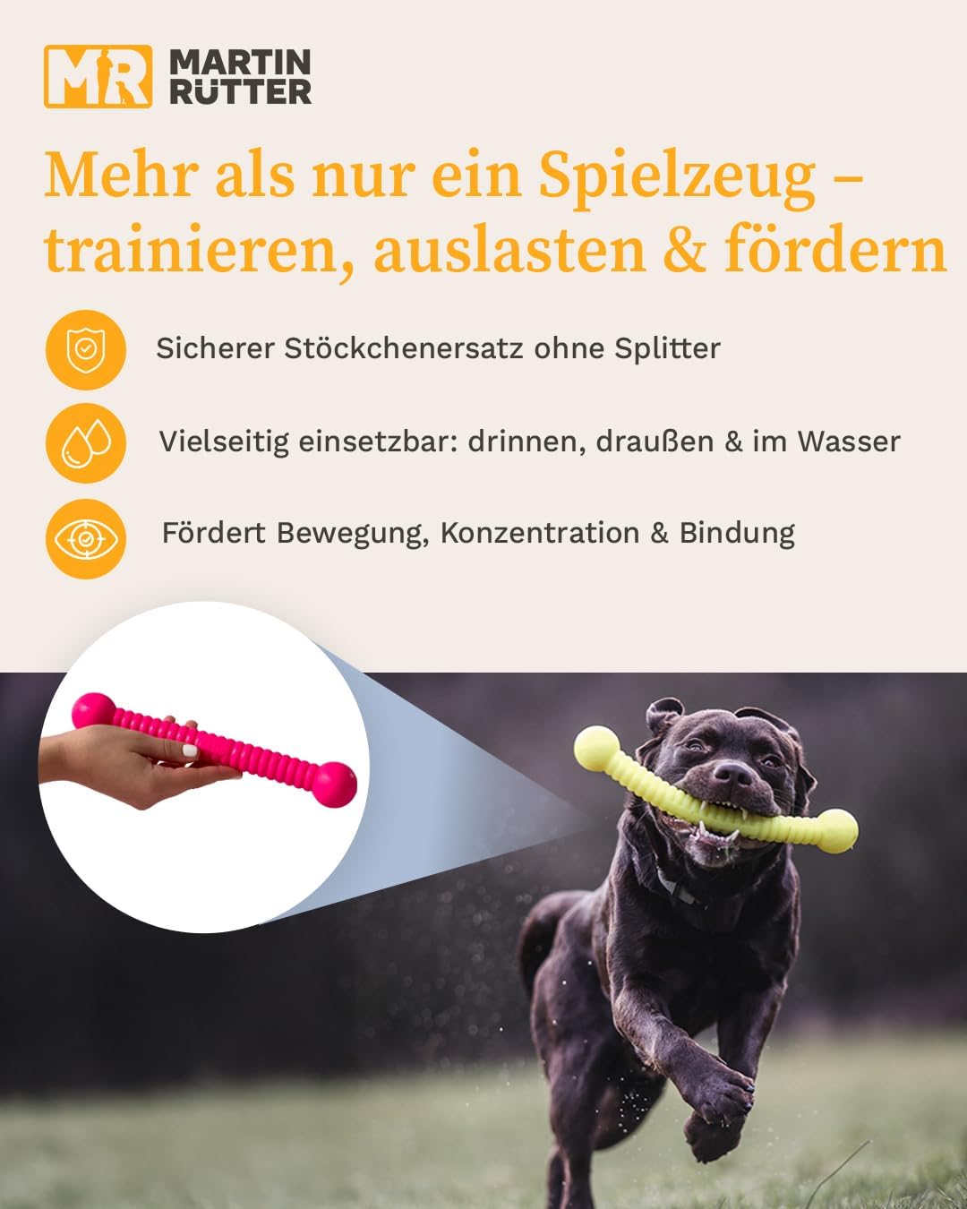 Martin Rütter FUNSTIX Stöckchenersatz für Hunde Grösse: L, Farbe: Metallic-Blau – Flexibler & sicher