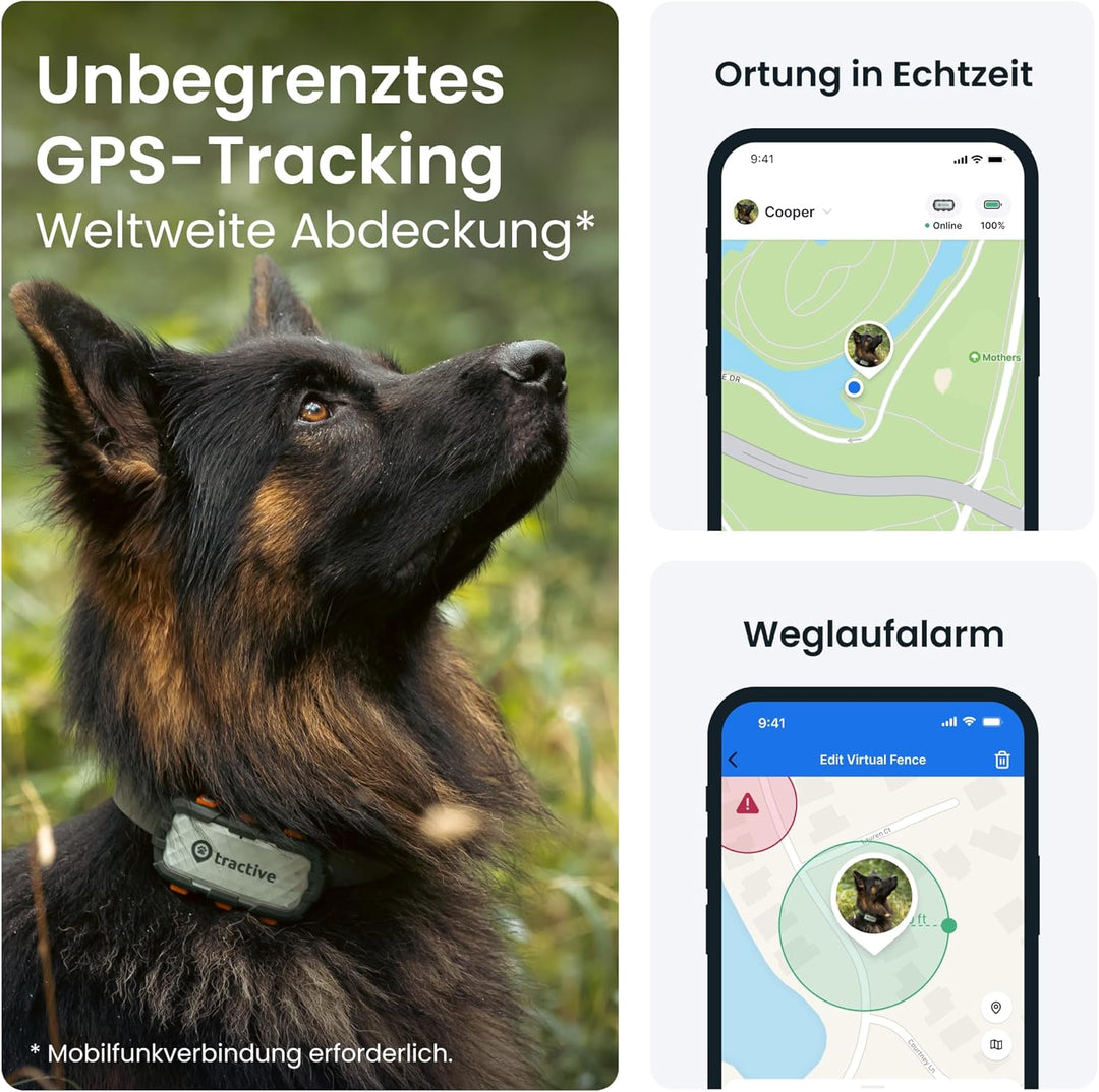 Tractive GPS Tracker Hund - XL Adventure | Bissfestes Glasfasergehäuse | Bis zu 1 Monat Akku | Markt