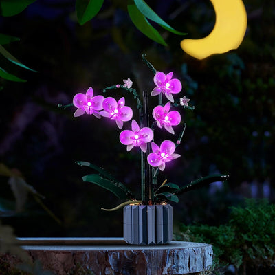 Led Licht Set Kompatibel mit Lego Orchidee (Nur Lichter, kein Baustein), Licht-Kit Compatible with L