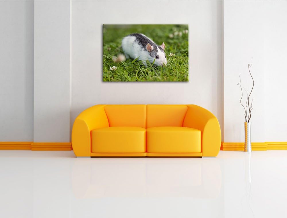 Pixxprint kleine Maus auf Blumenwiese auf Leinwand, XXL riesige Bilder fertig gerahmt mit Keilrahmen